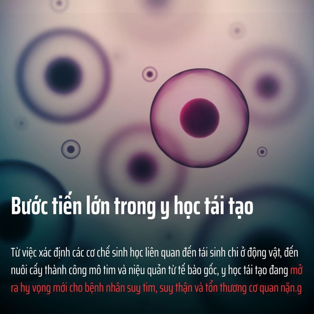 0cc063688be3ab5e94b7.jpg