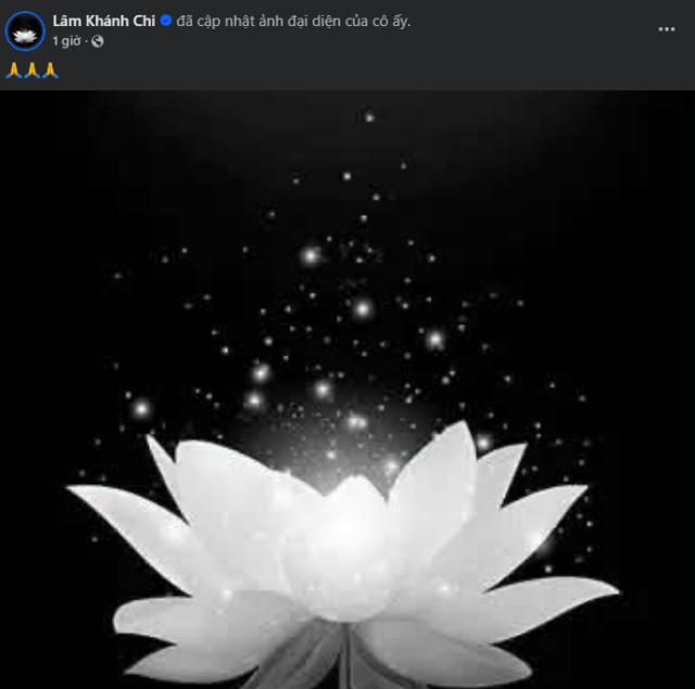 0ce0f93e7031889b1a7b.png