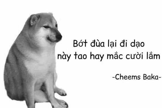 0ceaffb0485b220e6fe5.jpg