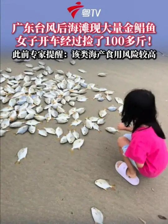 0d11134c970a6ffb9177.jpg