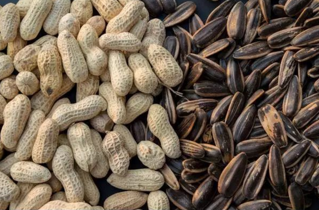 0d1b1e92e4bed486c231.png