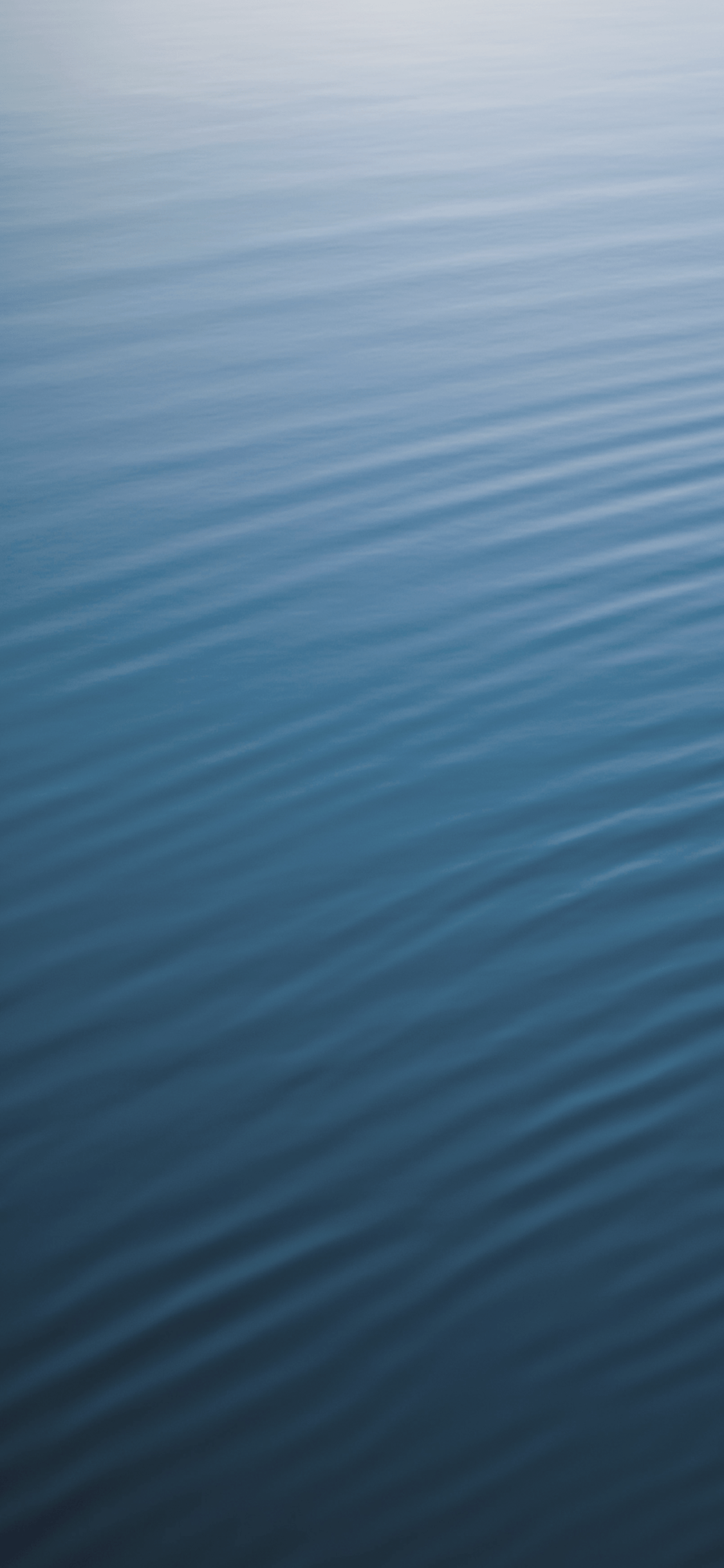 0d4952f4c20214c91a13.png