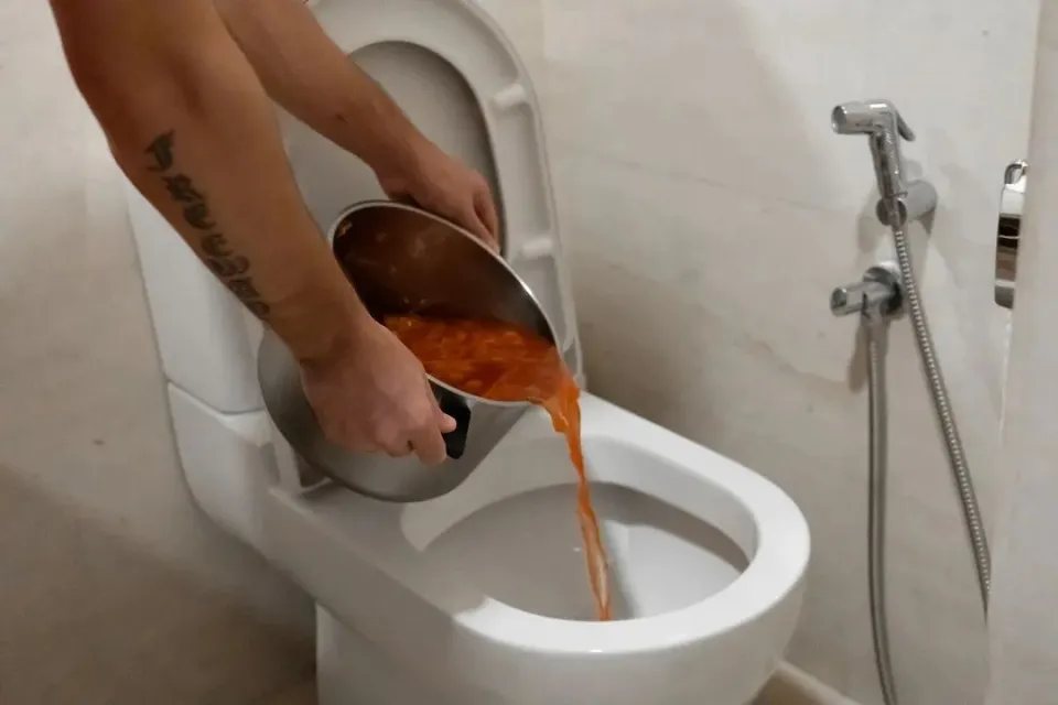 0d65385dfdbb2cb0d95c.png