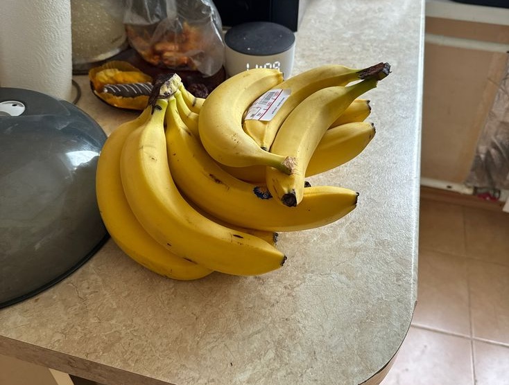 0d9b3d7a1bdda33c4d2c.jpg