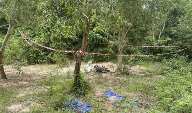 0dae5c0d2e8328b29dad.jpg
