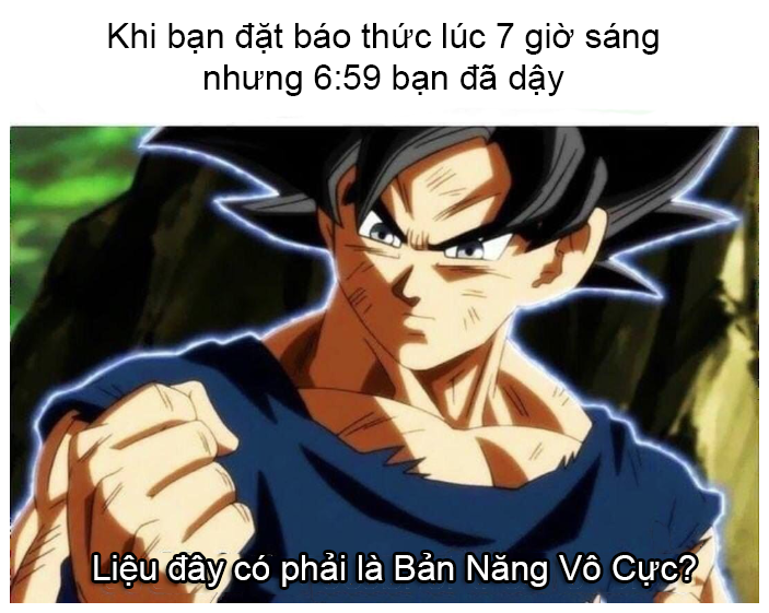 0e0ab24e2b5e8bc3972e.png