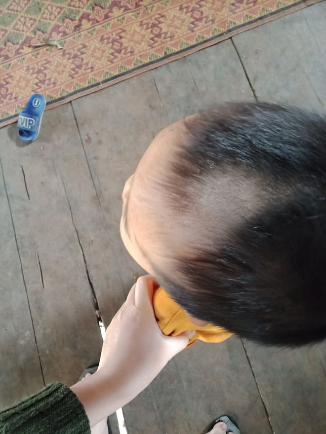 0e36daa11e72744c40d3.jpg