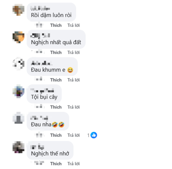 0e6bb210f899071cc0fd.jpg