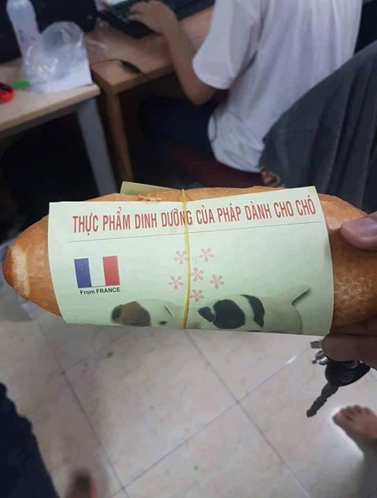 0ee6af71aa28320f5923.jpg
