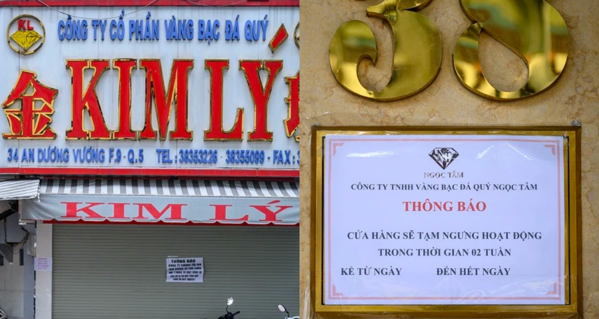 0efe5315b825cb8555d6.png