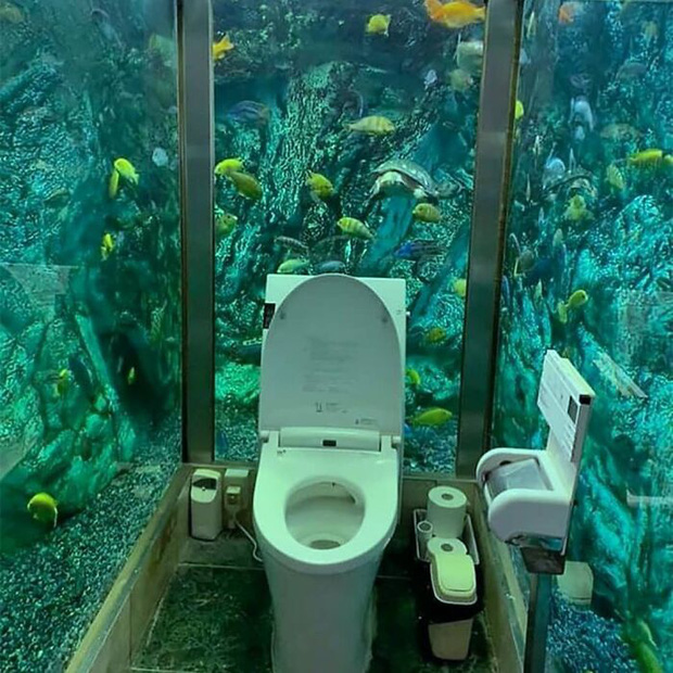 0f5fc79f3d48e00dfd61.jpg