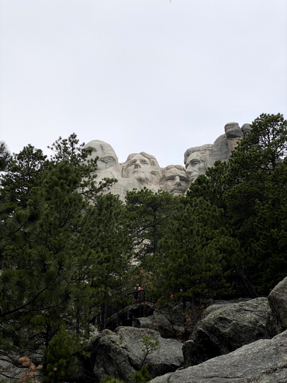 0f8077e369f54e0a9167.jpg