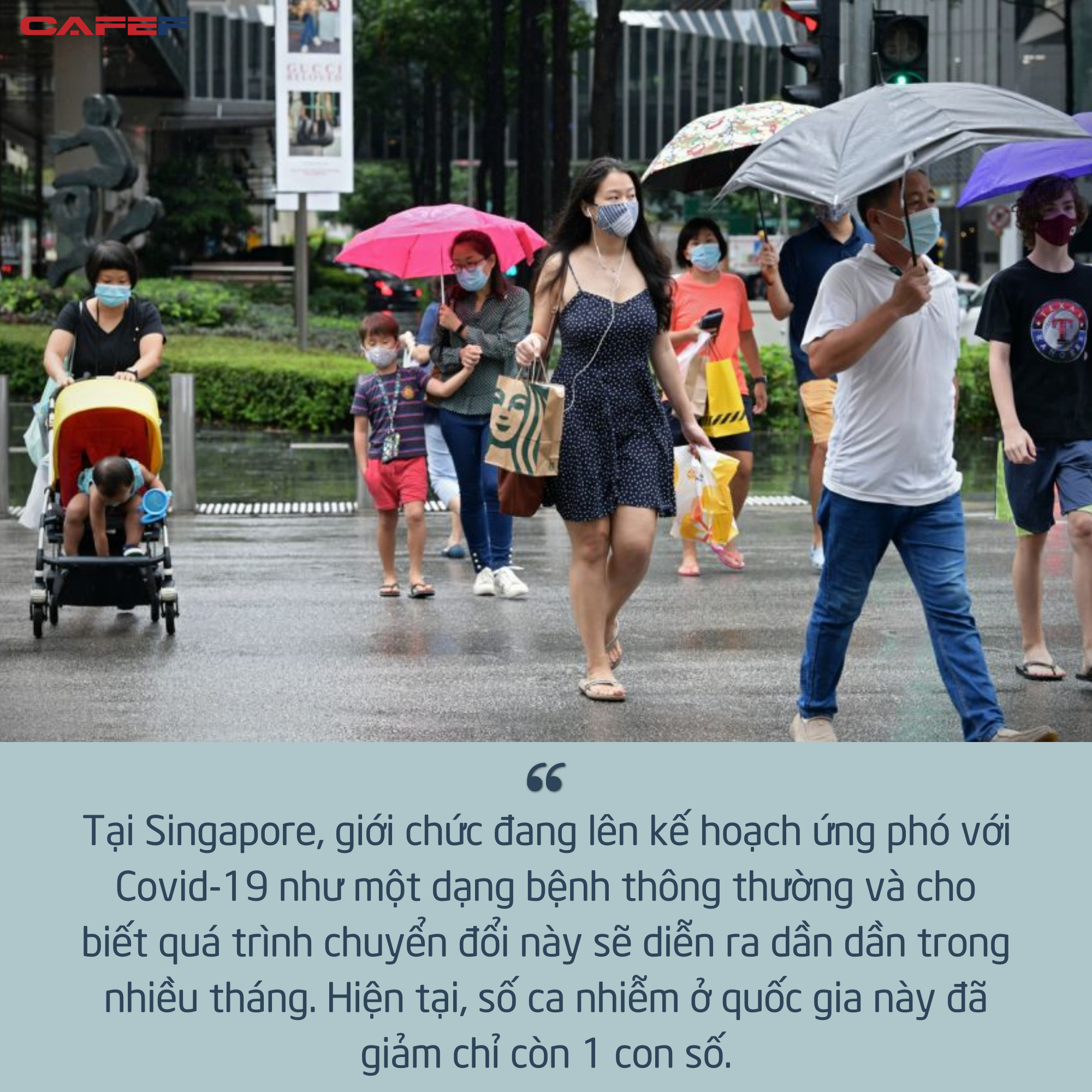 0f823f893d9417769698.png