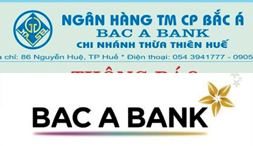 0fc61286294cea372ac3.jpg