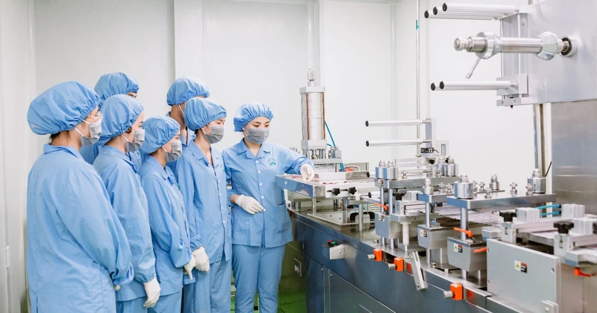 Học hệ 9+ tại HCCP: Chọn sớm để bay xa hơn!
