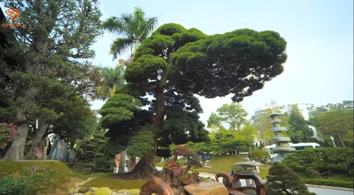 109566ab073a54f3f899.png