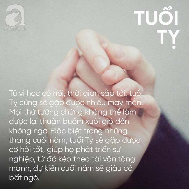109a080e6536a02911ac.png