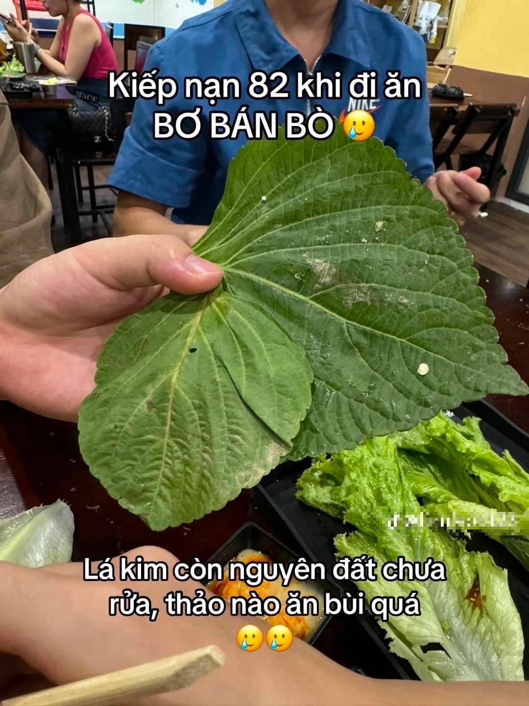 110a084b0a0d39e12c41.png
