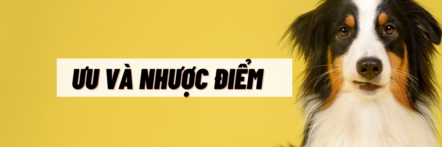 11185455de14dc25b96d.png