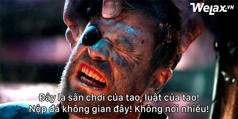 115c85ea87a85c4192dc.jpg