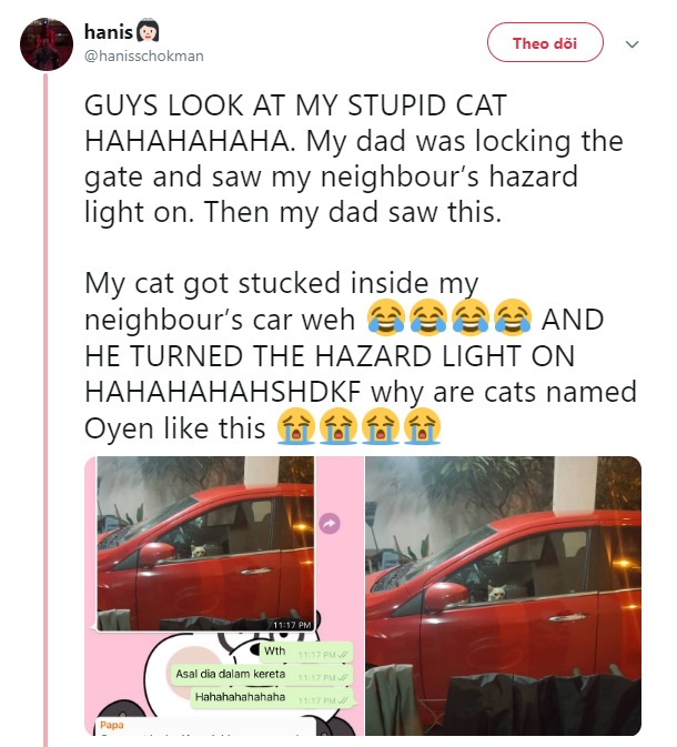1173a3824c63f0d1d5c0.png