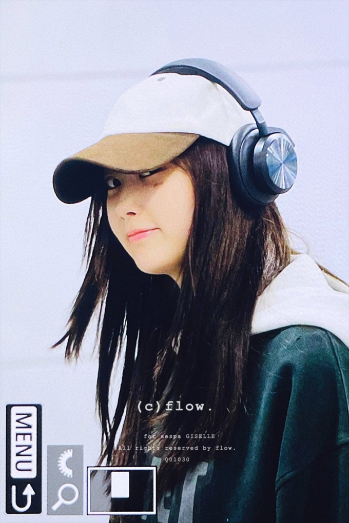 117fc3676a4730d2a309.jpg