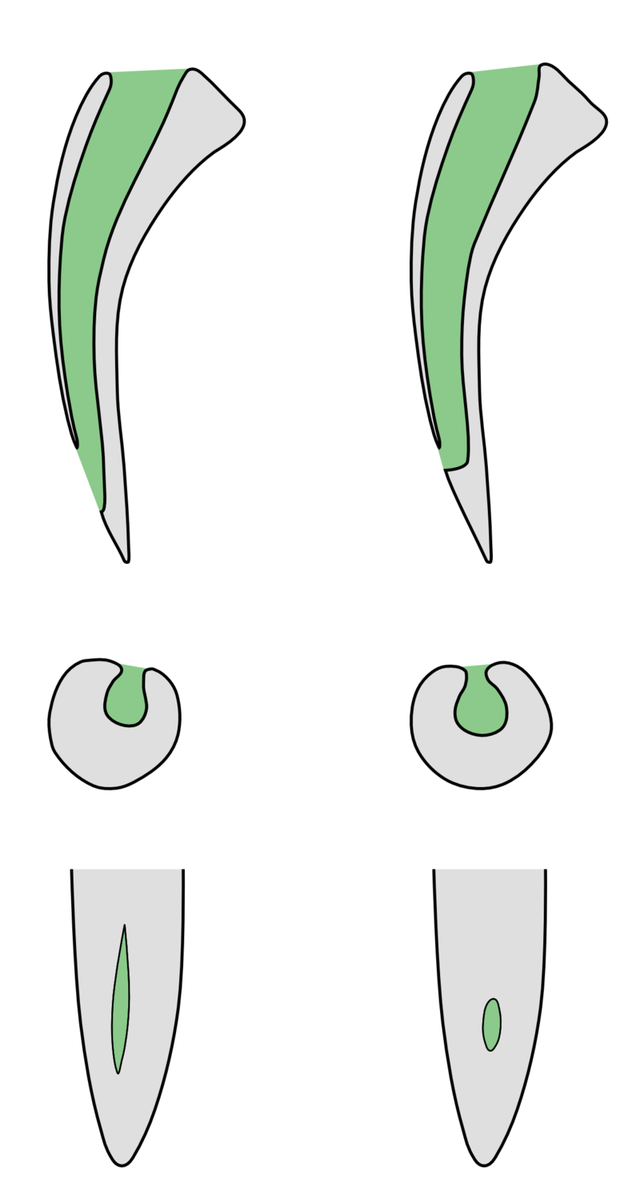11a2f1fcafdf77455a88.png