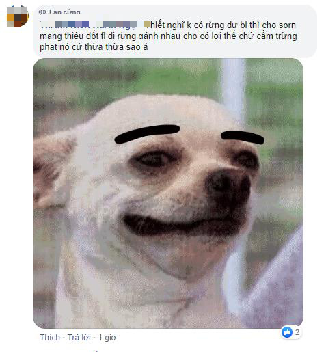 11a50cdf5533cbae72f1.png