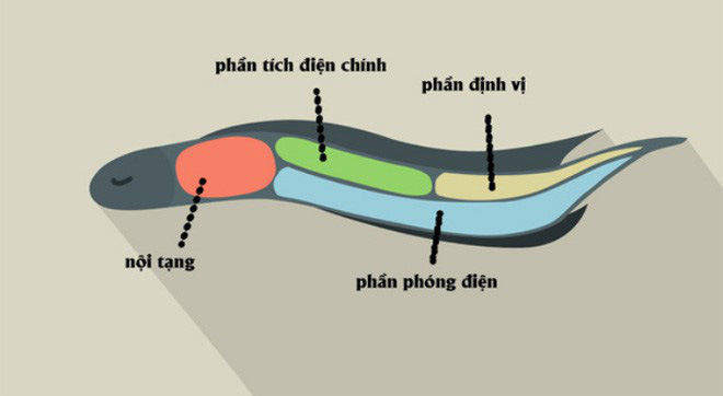 11aa9dfdc11175549310.jpg