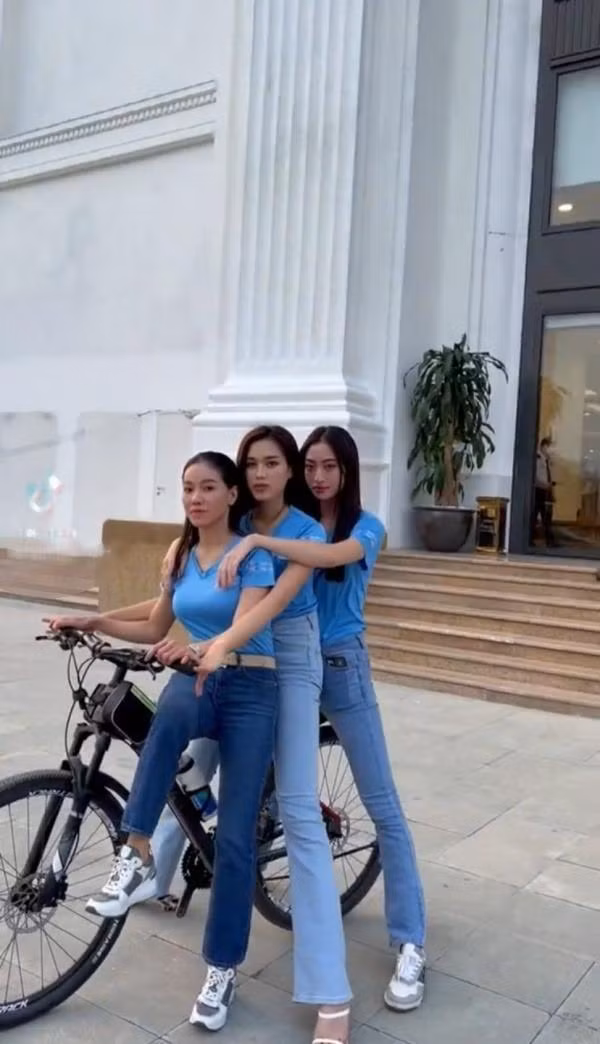 11df23c506c3d56b86aa.jpg