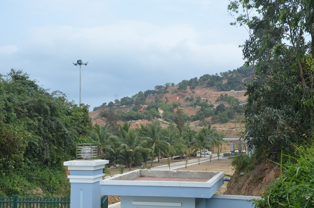 120ffe068dfb5bc6de6b.jpg