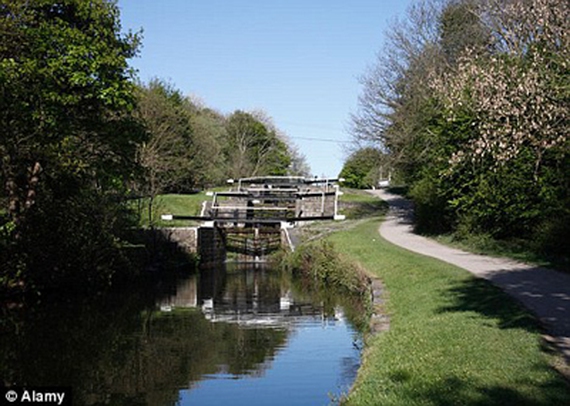 1231a082daf210dce56d.jpg