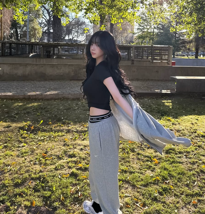 12393d1e8d8d65ec34cd.png