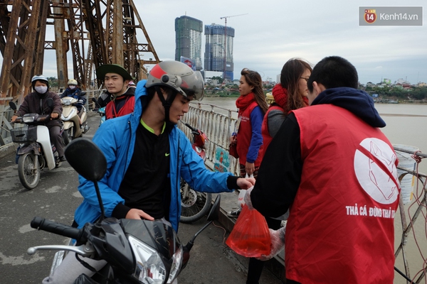 125d8d245c136ffe895a.jpg
