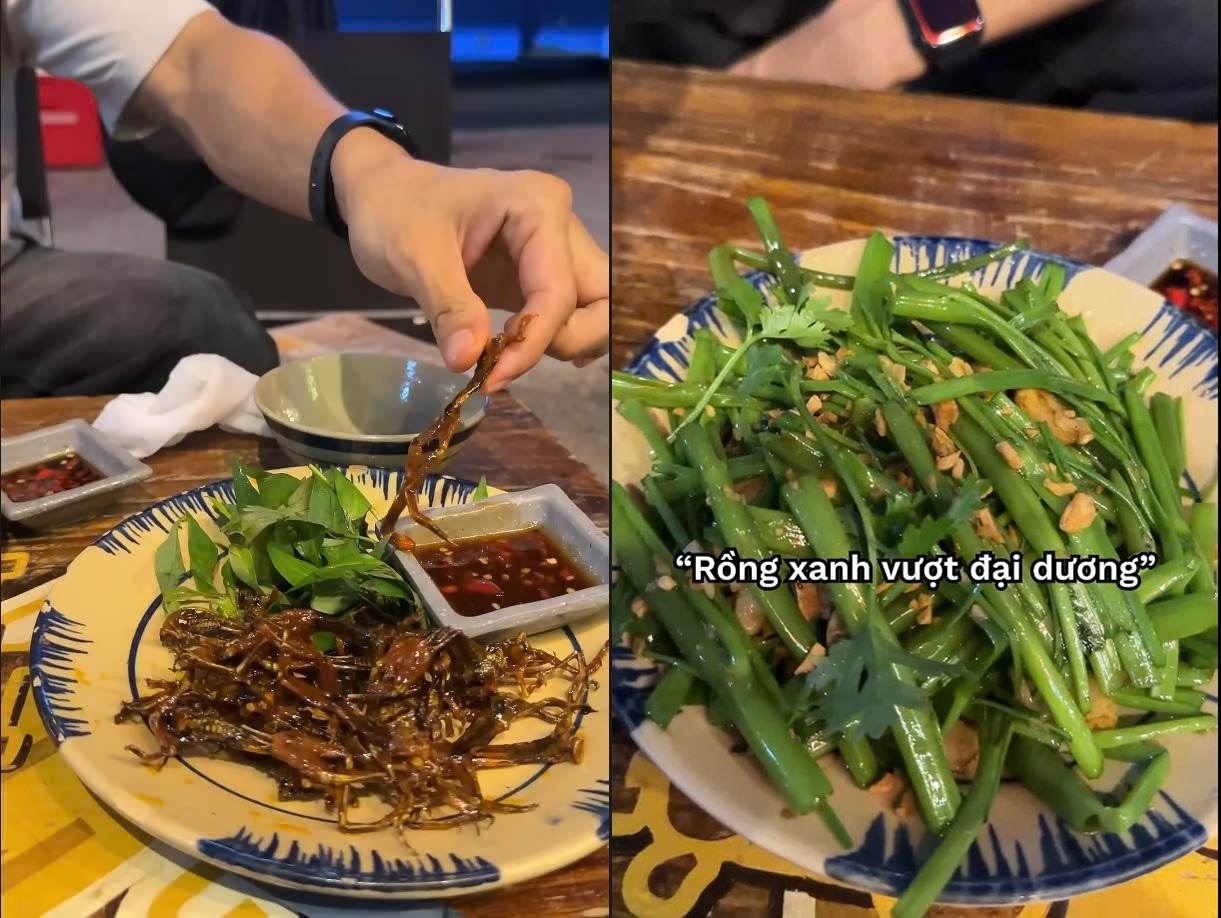 127b9db49160a7c11395.png