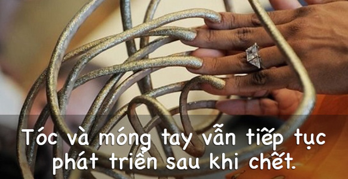 1290b8070692da8dfda4.jpg