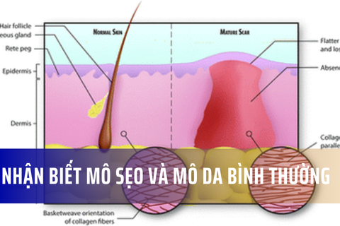 129619425ae1ca0205a1.png