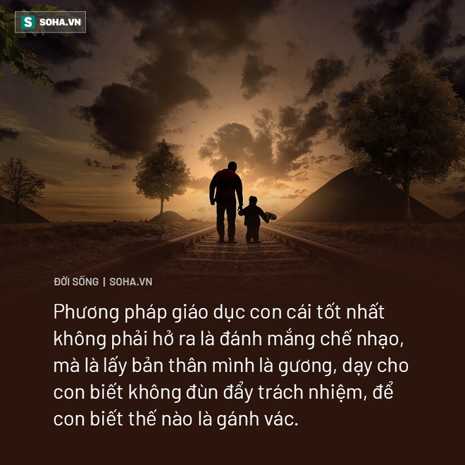 12c6cb55a4a73304334c.png
