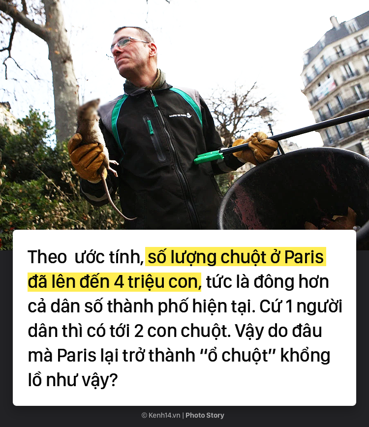 12ce448ea8951b07fb95.png