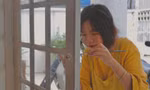 12fec0b90ebfcb61bcee.jpg