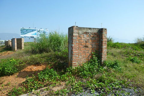 131064638ed07260895c.jpg