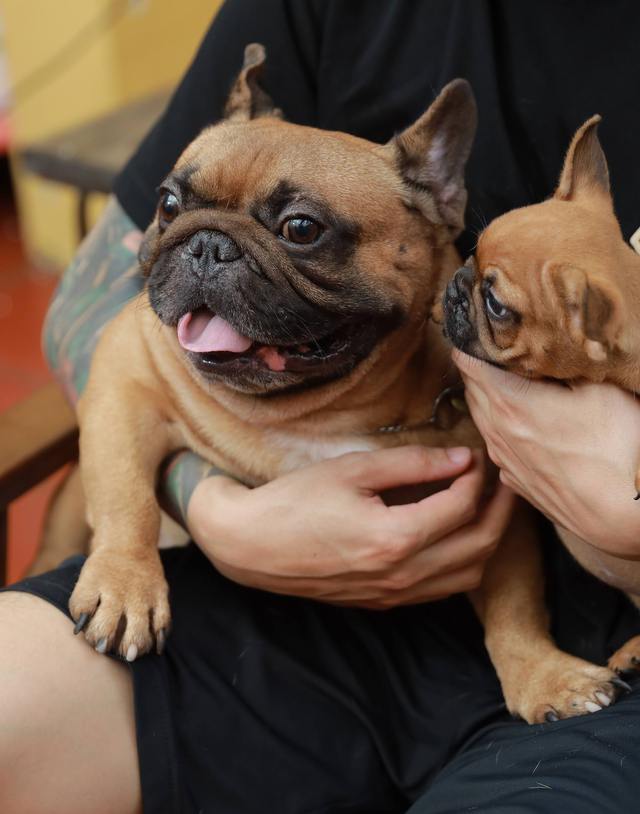 13720fbdd73f14cd2546.jpg