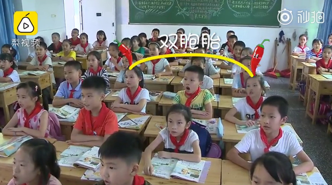 1386c437c541153d0413.png