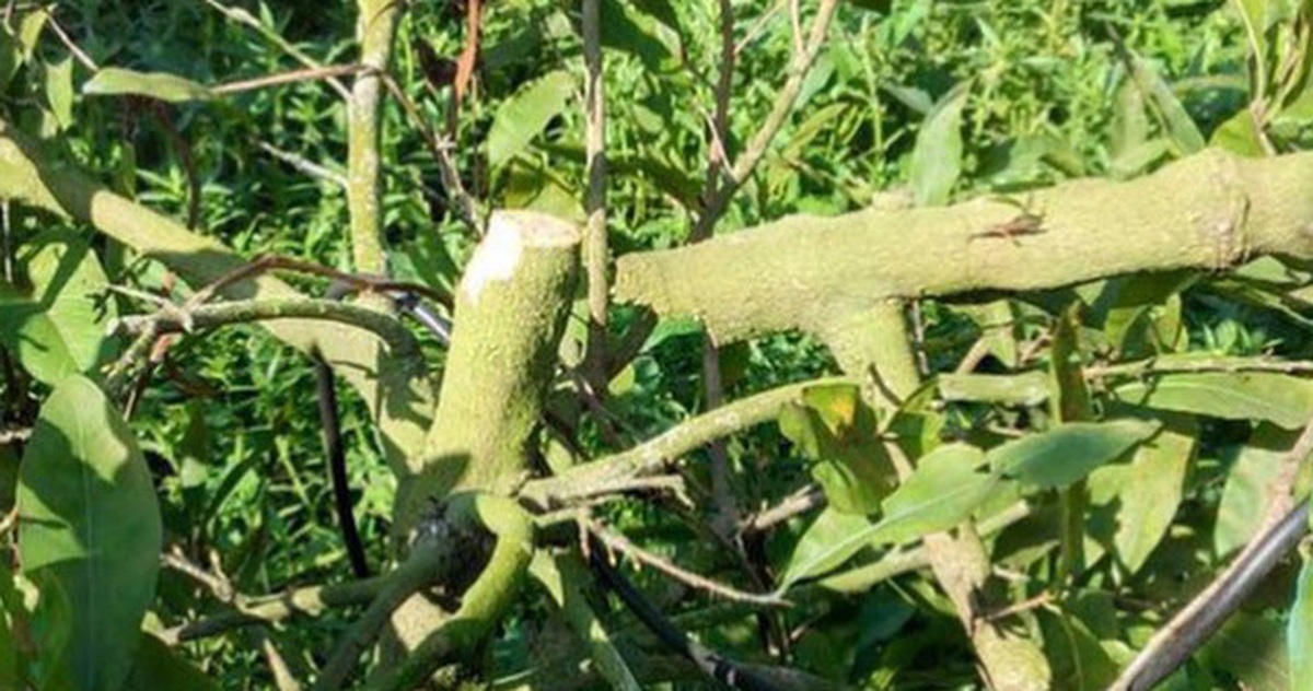 13d595340ca0025763e3.jpg