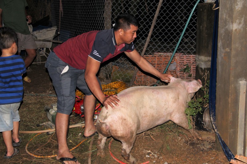 13d80cb5aedb33ea84b8.jpg