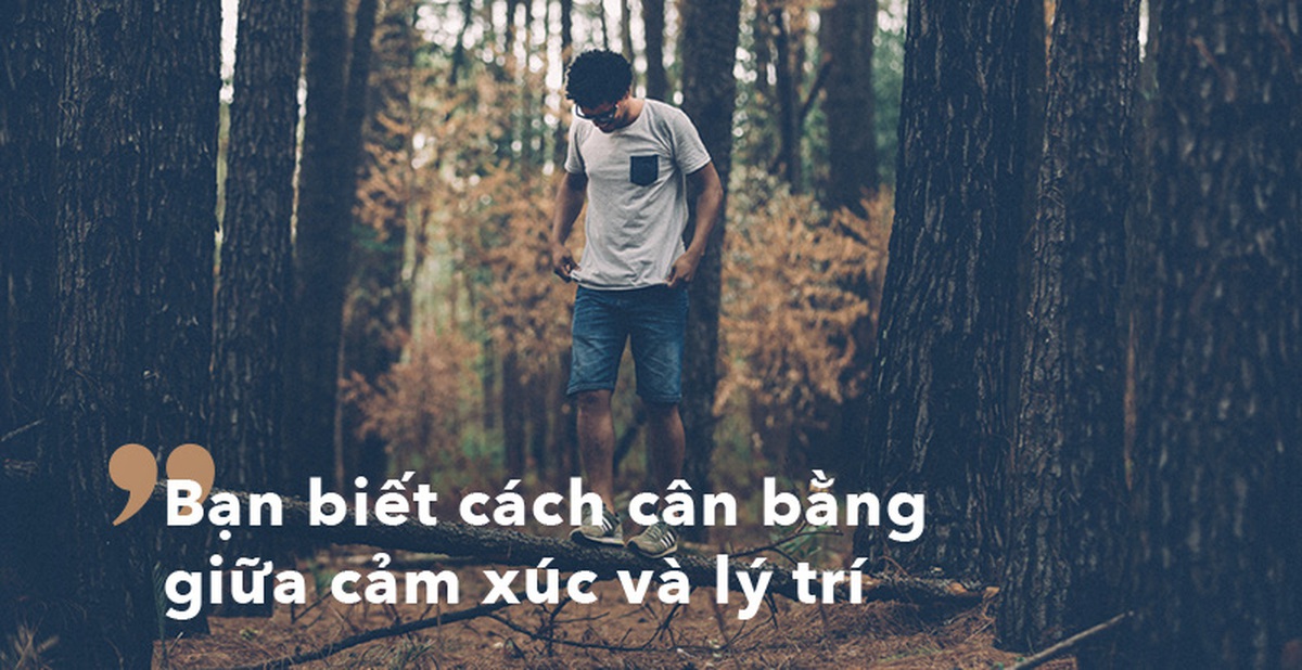 13dfd8e071be8090a6cc.jpg