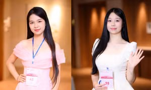13e0e667c4ce2d56cc40.jpg