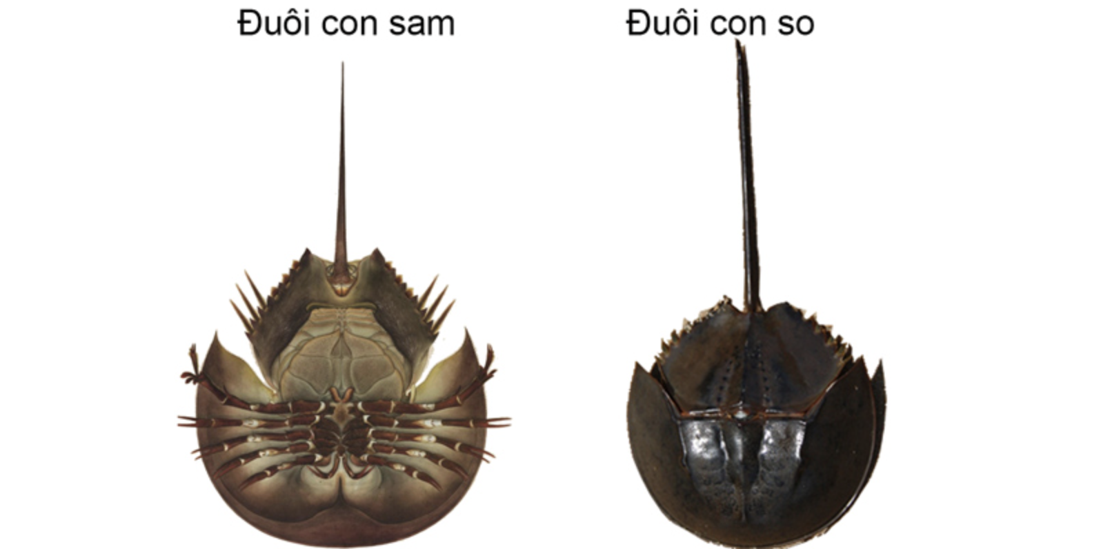 13fc1549cd11d3333bfe.png