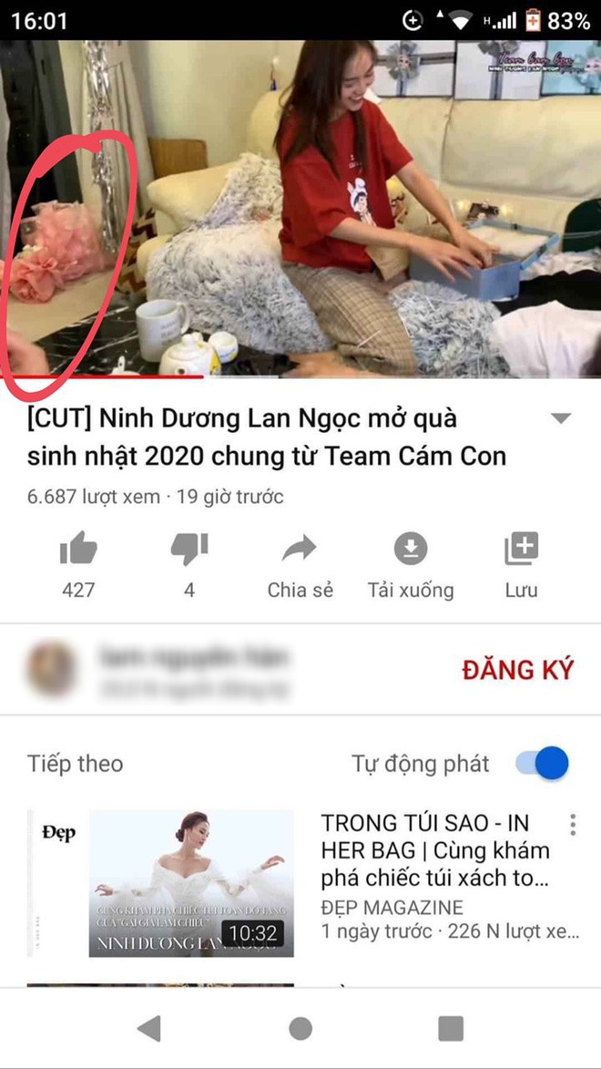 142c1f76c9f8650ee62c.jpg