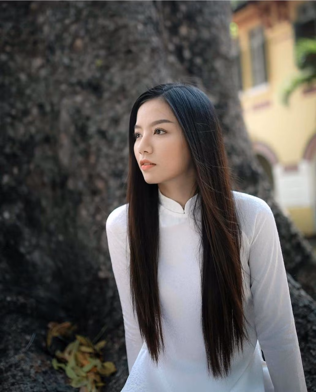 144fb0be63f1257d6390.jpg